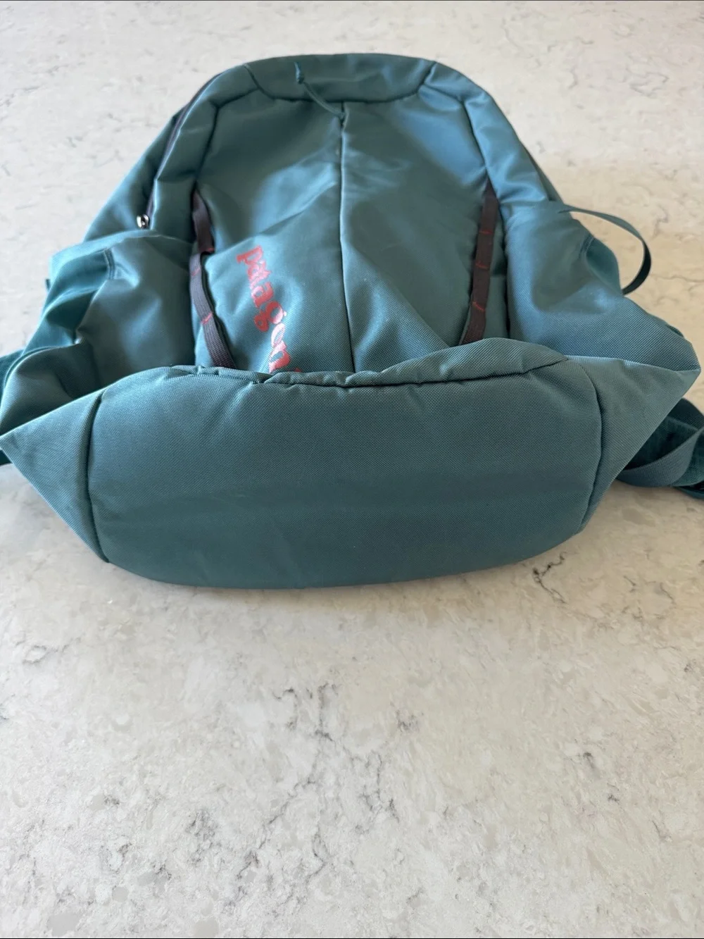 Patagonia sturdy backpack